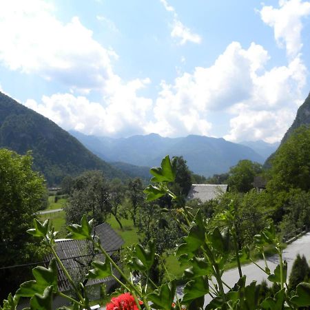 Apartma Cvetek, Srednja Vas 133 Bohinj Zewnętrze zdjęcie